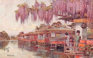 B243 Japan Wistaria Flowers Geishas Art vintage postcard