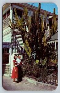 Couple Looking at Giant Cactus Duval St Key West Florida Vintage Postcard 1631