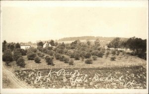 Williamstown Vermont VT JK Price's Apple Orchard 1900s-20s RPPC Vintage Postcard