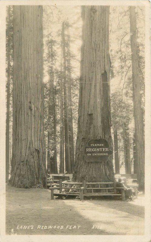 1920s Redwood Highway California Humboldt Lanes RPPC Real photo postcard 2159