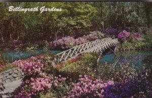 Rustic Bridge Bellingrath Gardens Mobile Alabama