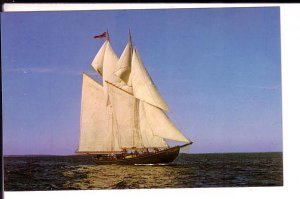 Bluenose II Schooner