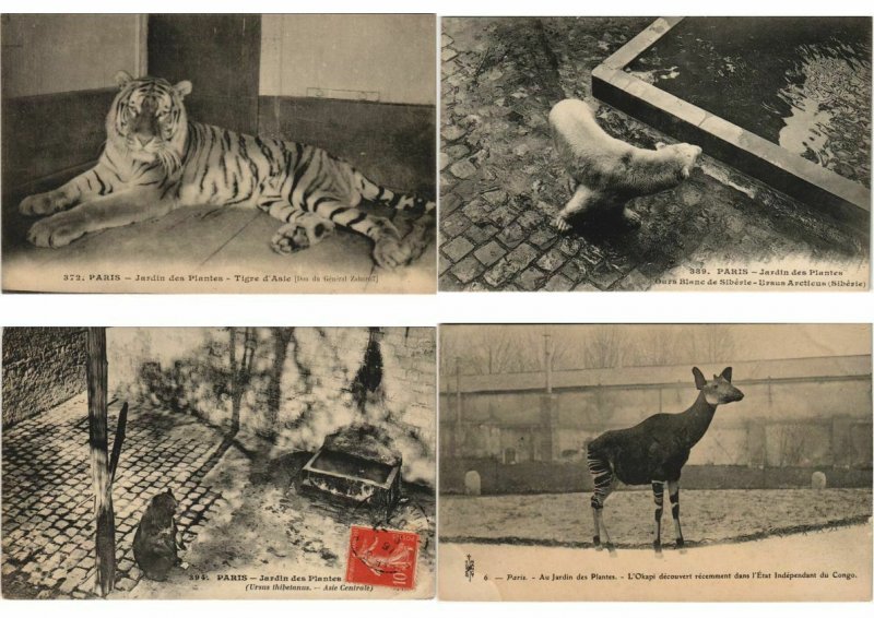 ZOO JARDIN DE PLANTES ANIMAUX 200 CPA pre-1930 (L4066)