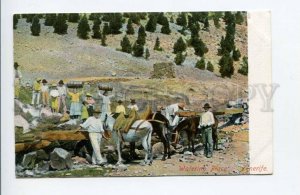 424451 Spain Canary Islands Tenerife Watering Place native people OLD postcard