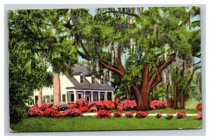 Vintage 1940 Postcard Old Southern Home Moss Festooned Oaks Azaleas Mobile AL