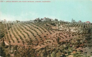 Postcard C-1910 California Auburn Aeolia Farm Agriculture Mitchell 22-13361