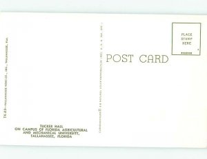 Chrome UNIVERSITY SCENE Tallahassee Florida FL AG9121