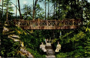 Massachusetts Melrose Banks Park Rustic Bridge 1912