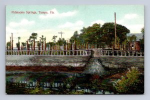 PALMACEIA SPRINGS TAMPA FLORIDA POSTCARD (c. 1909)