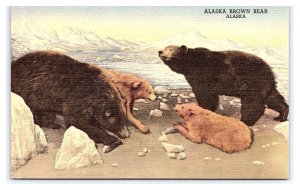 Alaska Brown Bear House Of Yesterday Hastings Museum Nebraska Postcard