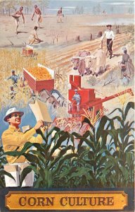 1950s Lincoln Nebraska Corn Culture advertising Stephens Postcard 24-11554