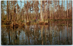 Postcard - Okefenokee Swamp Park - Waycross, Georgia