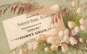 1870's-80's Brown's Jamaica Ginger Victorian Trade Card #3  P151