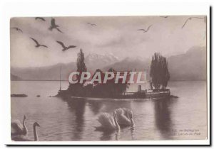 Switzerland Old Postcard Island Salagnon and teeth of the south (swan swans)