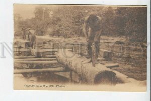 439399 AFRICA Ivory Coast Sawmilling in Orno Vintage postcard