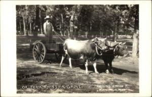 Minneapolis MN Ox Team Mission Grove Real Photo Postcard