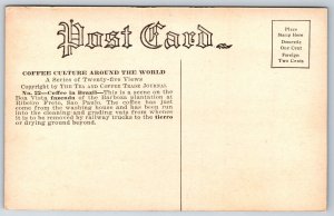 Ribeiro Freto Sao Paulo ~Coffee & Tea Journal of NYC~Barboza Plantation Fszenda