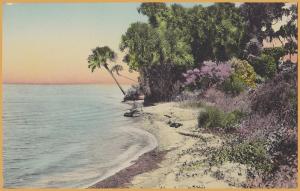 Along the Florida Coast, Hand Colored, Winter Park, FLA.,