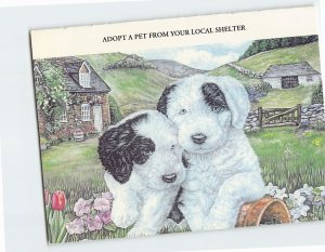 Postcard Adopt A Pet From Your Local Shelter, North Shore Animal League