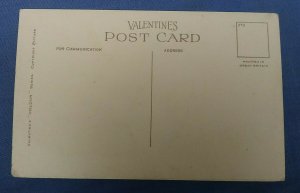 Vintage Valentines Postcard Vine Cottage Shere Surrey    E1C