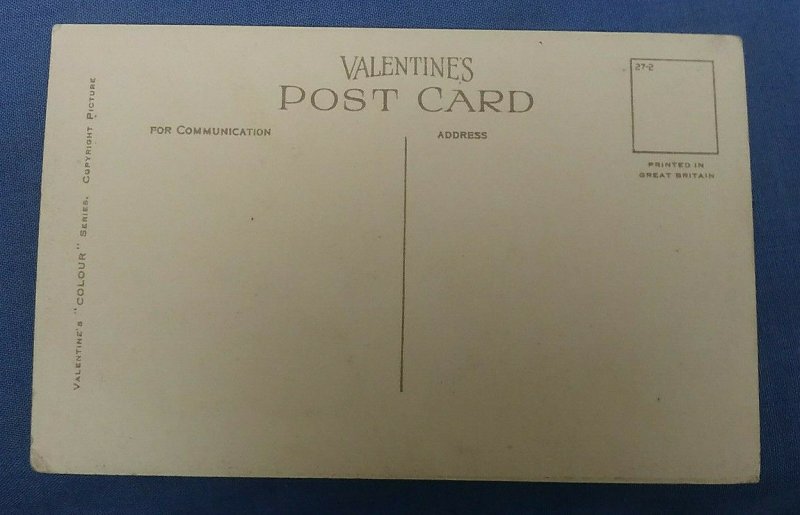 Vintage Valentines Postcard Vine Cottage Shere Surrey    E1C