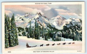 RAINIER NATIONAL PARK, Washington WA ~ Paradise Valley DOG SLED TEAM  Postcard