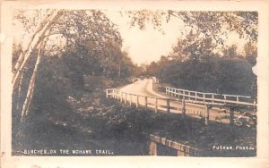 Birches on the Mohawk Trail Massachusetts