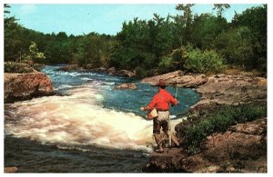 Greetings from New Boston Texas Piney Woods East Texas Fishing Postcard 1979