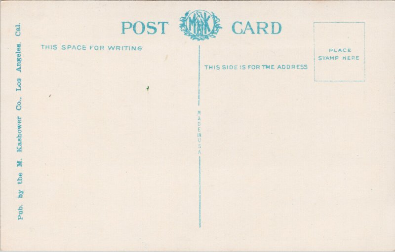 Tijuana Mexico Border Crossing Stop For Inspection Unused Kashower Postcard E71