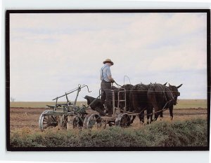 Postcard Working the fields Amish Seasons Pennsylvania USA