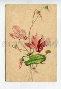 3156199 Flowers Vintage HAND TINTED Water Color PC