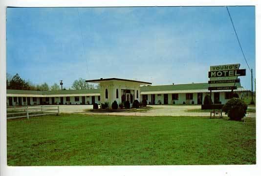 Greenwood SC Young's Motel Postcard