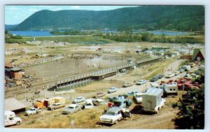 WILLIAMS LAKE RODEO, British Columbia B.C. Canada ~ Birdseye 1960s Postcard