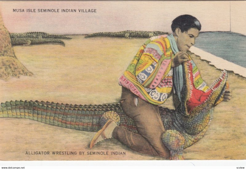 Musa Isle Seminole Indian village , Florida , 1930-40s ; Alligator Wrestling