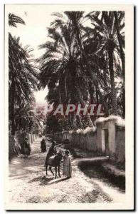 Algeria Constantine Old Postcard Biskra Path in the & # 39oasis