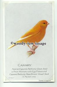 an0215 - Canary on Perch, for Capern's Clean Food - Postcard plain back