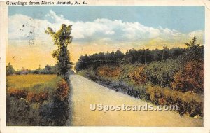 Greetings from - North Branch, New York