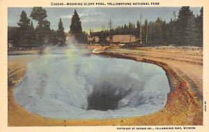 Mornign Glory Spring Yellowstone National Park, Wyoming, USA