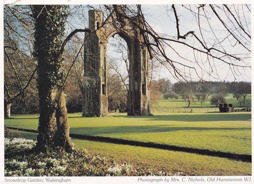 Snowdrop Garden Walsingham Norfolk Postcard