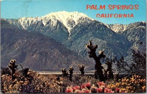 California Palm Springs Snow Capped Mountains