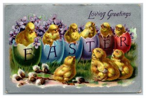 Vintage 1910's Tuck's Easter Postcard Cute Chicks Hatch from Colored Eggs - NICE