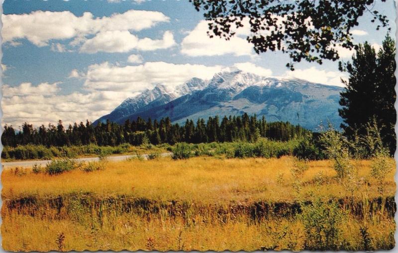 Canoe Mountain BC near Valemount Monoshee Range Unused Vintage Postcard D67