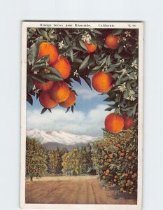 Postcard Orange Grove, California