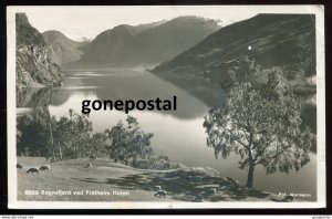 dc656 - NORWAY Sognefjord 1930 View from Fretheim Hotel. Real Photo Postcard