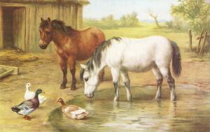 \Horses and ducks\ Very nice english postcard