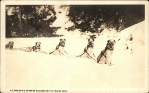 Dog Sled Team AT Walden's Huskies White Mountains Shorey RPPC c1915