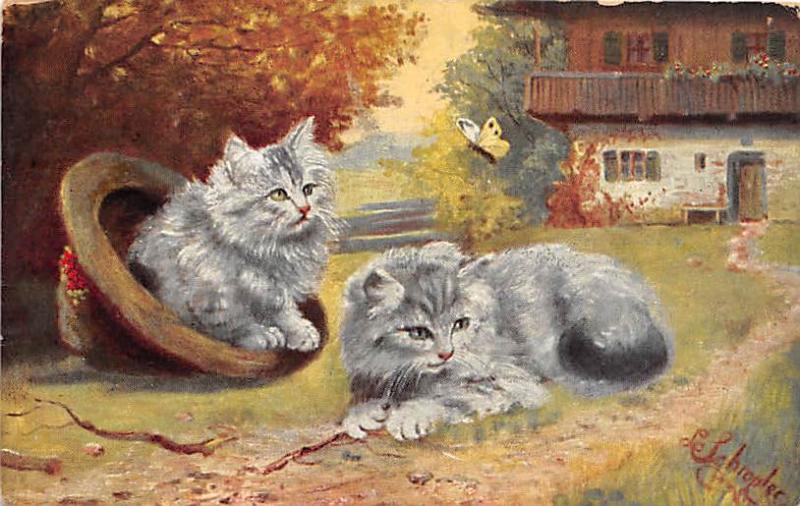 Painted Cat 1910 