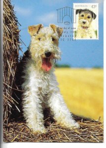 Dog  Australia Maximum card issued July 1990