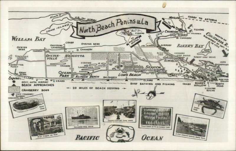 Washington Map North Bech Peninsula Baker's & Willapas Bay Real Photo Postcard