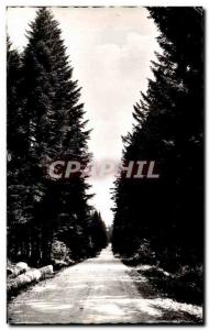 Postcard Modern Franche Comte Scenic Way En Foret